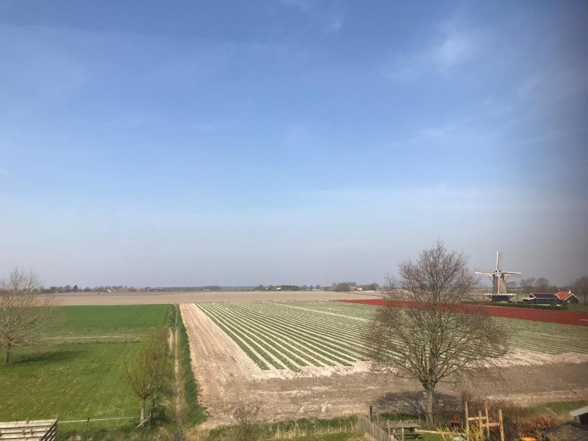 In De Gele Hoed Mooie Appartementen Met Fantastisch Uitzicht Zonnemaire エクステリア 写真