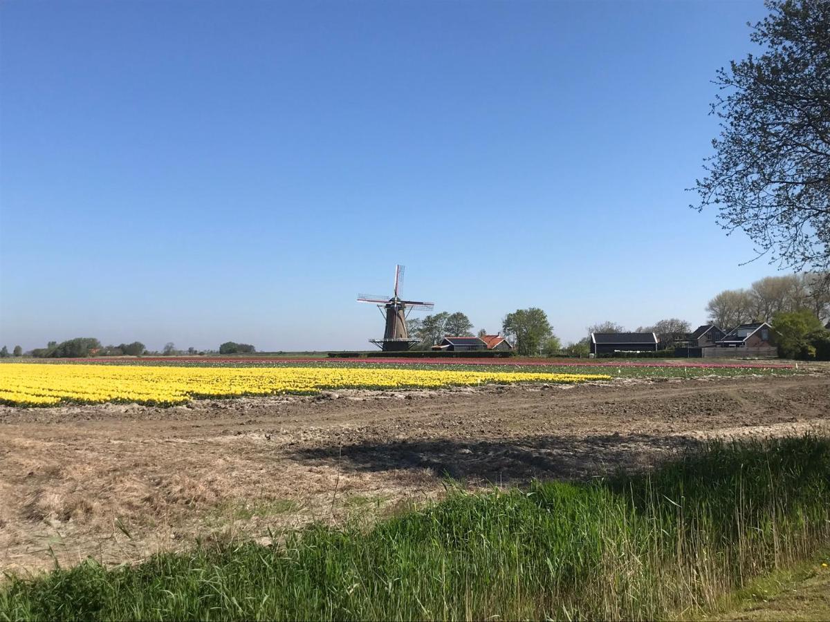 In De Gele Hoed Mooie Appartementen Met Fantastisch Uitzicht Zonnemaire エクステリア 写真
